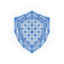 SurfaceShield Logo